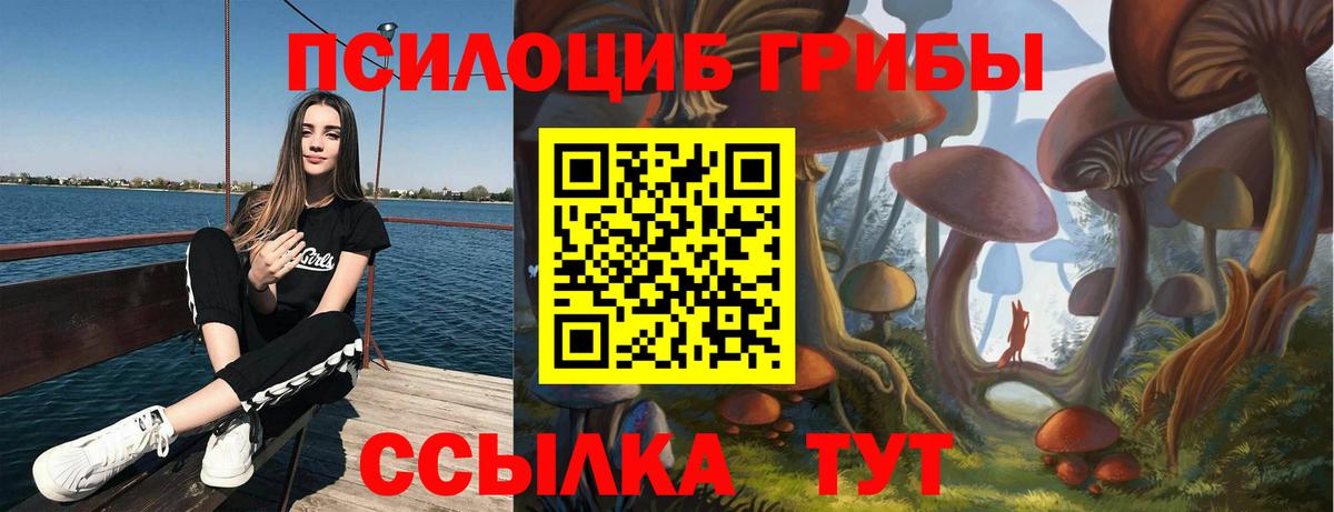 Лосино-Петровский  Псилоцибиновые грибы MAGIC MUSHROOMS  купить   Вход с VPN 